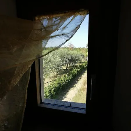 La Casina Di Ely Apartament *